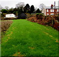 Buildings above Snatchwood Road, Abersychan