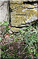 Benchmark on Chard Road wall