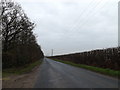 TL3859 : Long Road,  Hardwick by Geographer