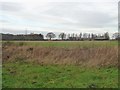 Farmland south-east of Plantation House