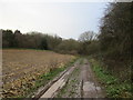 Footpath to Wellow