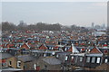 Roofs of Parsons Green