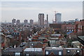 Roofs of Parsons Green