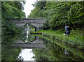 Lapley Wood Bridge near Wheaton Aston, Staffordshire