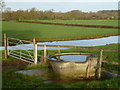 TL0586 : Water tub and fencing on grassland near Oundle by Richard Humphrey