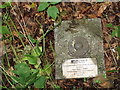 Ordnance Survey Fundamental Bench Mark - Kelso