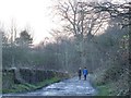 Priesthorpe Lane, looking south