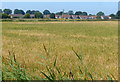 Farmland on the edge of Hogsthorpe