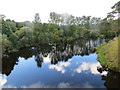 River Teviot from Teviot Bridge