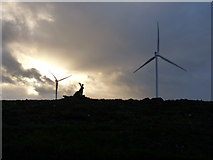 N5126 : Mount Lucas Wind Farm Co. Offaly by Kenneth Gallery Smyth
