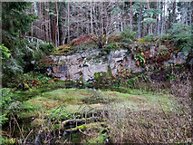 NH6455 : Disused quarry in Bellton Wood by Julian Paren