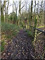 The start of a steep muddy descent on the Sussex Border Path