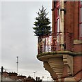 Liberal Club Christmas Tree