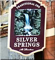 Silver Springs at Denton (Pub sign)