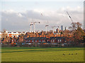 Cranes over Hornsey