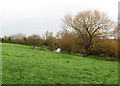TL4355 : The Cam at Grantchester on Christmas morning by John Sutton