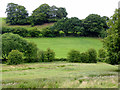 Farm land near Cheddleton, Staffordshire