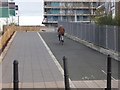 Cycleway at River Gardens