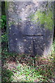 Benchmark on gatepost at Alkincoats Park exit