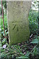 Benchmark on gatepost for path from Colne Edge