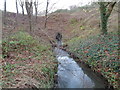 Copcut Stream, Droitwich disappearing into a culvert 