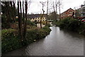 Nailsworth Stream, Nailsworth