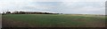 SE7804 : Landscape panorama near Epworth by Julian P Guffogg