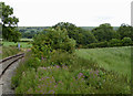 Farmland by the railway near Bradnop, Staffordshire