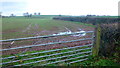 Wet field in winter