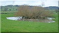 Pond at Kingstone Grange