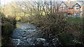 Upstream on the River Yealm from Wisdome Bridge