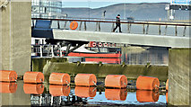 J3474 : The Lagan Weir, Belfast (December 2015) by Albert Bridge