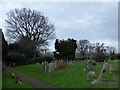 St John, Dormansland: churchyard (ii)