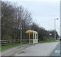 Bus Stop on the Northern Perimeter Road