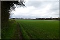 Footpath to Downe