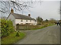 Tarrant Monkton, Bay Farmhouse