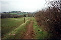 Llwybr Glanmwrwg Fach Path