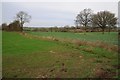 Farmland near Acton Green