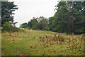 Grazing for cows below Cow Hill