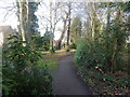 Footpath through Great Barton