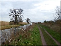 ST2825 : Bridgwater and Taunton Canal  by David Smith