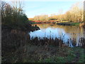 A pond near Walton Park