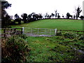 Gate and low hill, Ballindullagh Inner