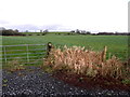 Lettermoney Townland