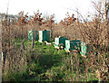 TG3711 : Bee hives in Austin's Wood by Evelyn Simak