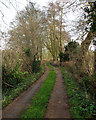 Track to Hildersham Mill