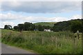 Trackbed, Amisfield