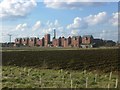 Farmland south of Bass Maltings