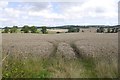 Wheat field near Crookham