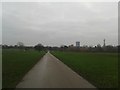 TQ2783 : Path across Regent's Park by DS Pugh
